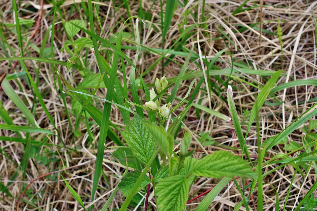 IMG-2016-05-21-00015995p_Bildgr��e �ndern