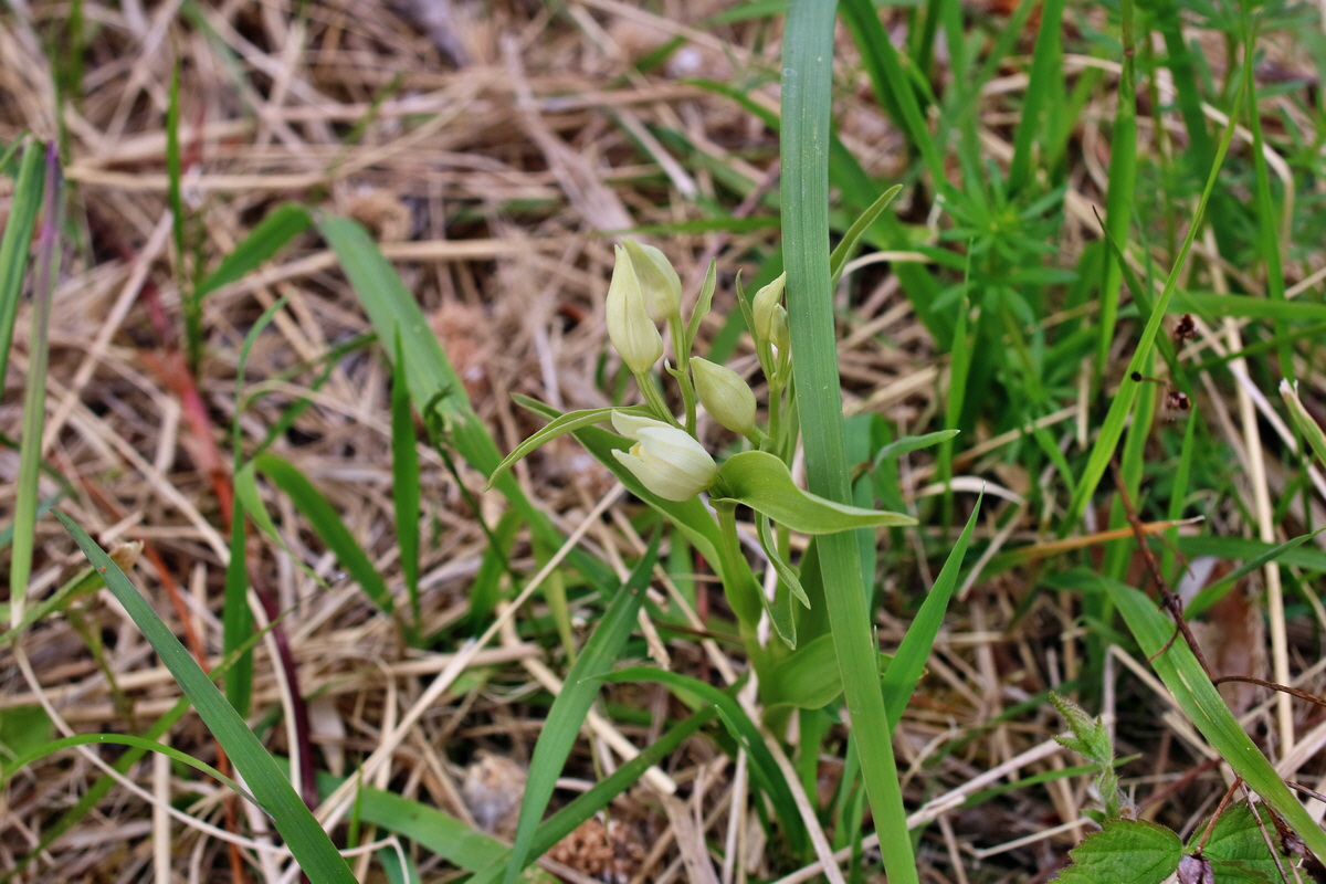 IMG-2016-05-21-00015998p_Bildgr��e �ndern