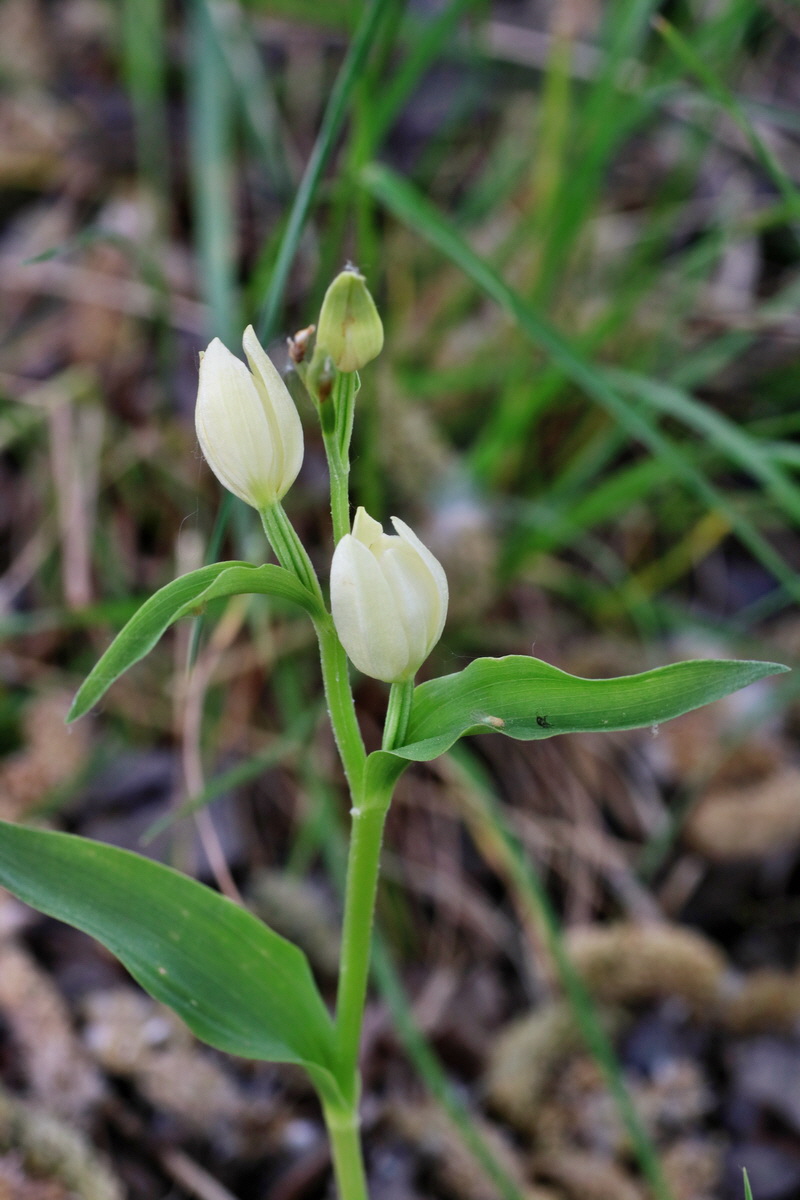 IMG-2016-05-21-00016003p_Bildgr��e �ndern