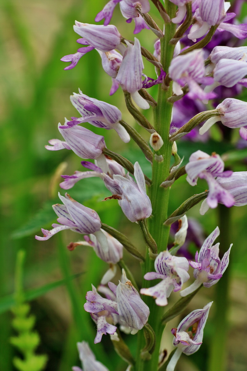 IMG-2016-05-21-00016008p_Bildgr��e �ndern