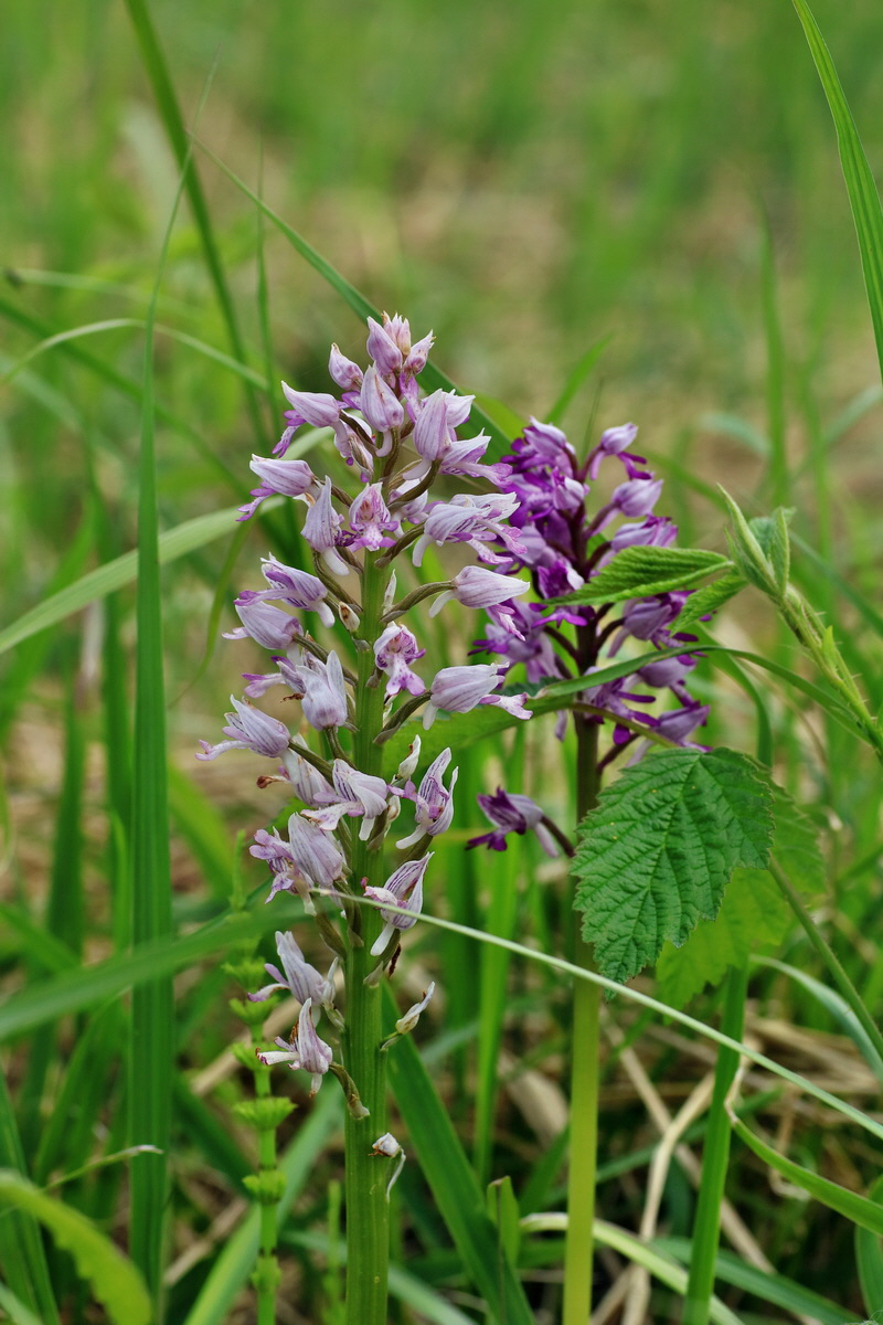 IMG-2016-05-21-00016011p_Bildgr��e �ndern