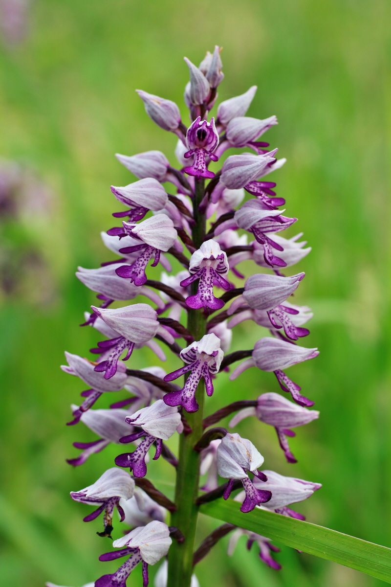 IMG-2016-05-21-00016016p_Bildgr��e �ndern