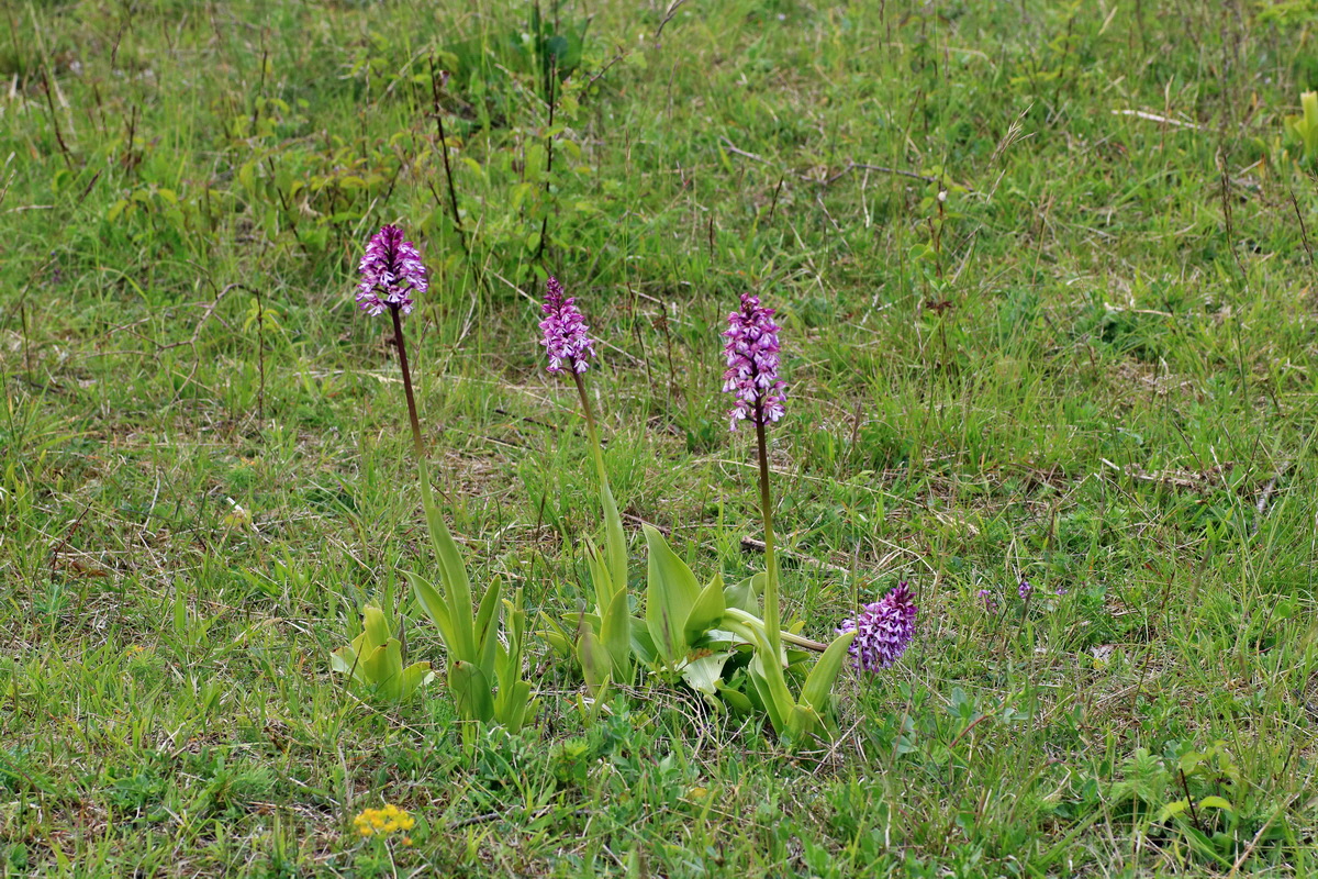 IMG-2016-05-21-00016025p_Bildgr��e �ndern