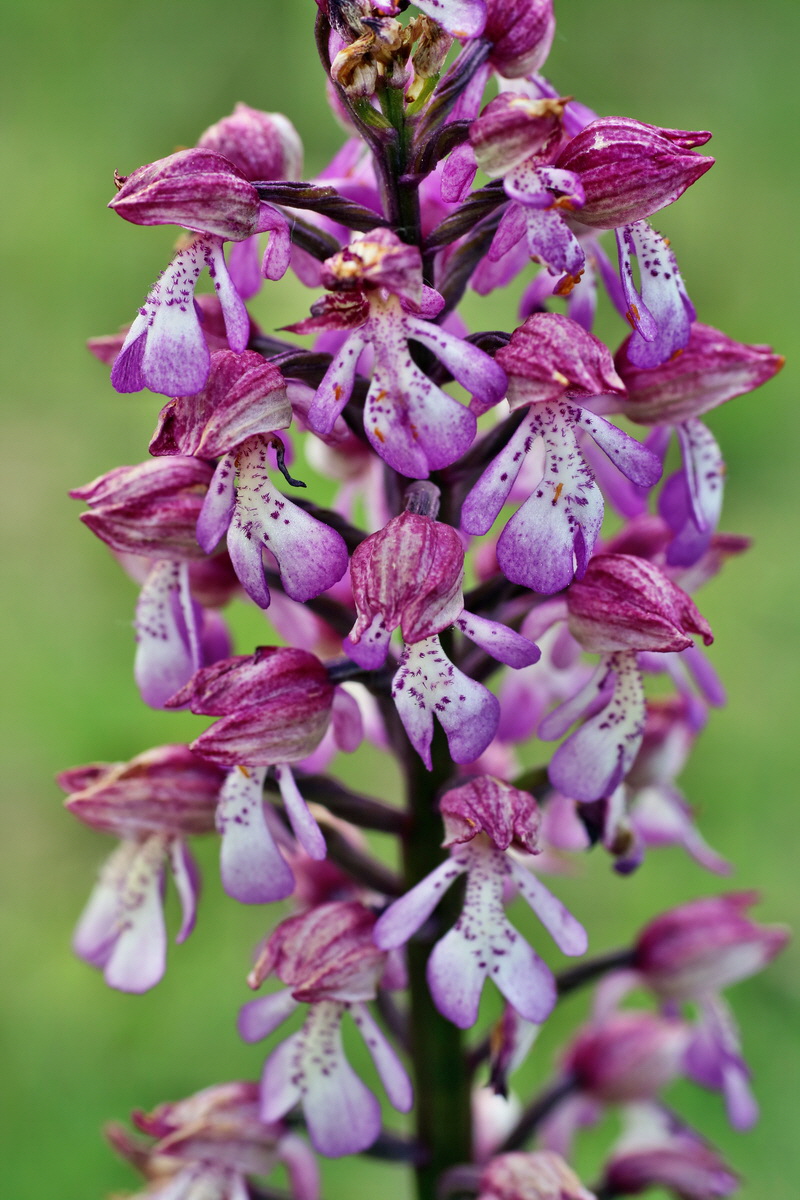 IMG-2016-05-21-00016027p_Bildgr��e �ndern