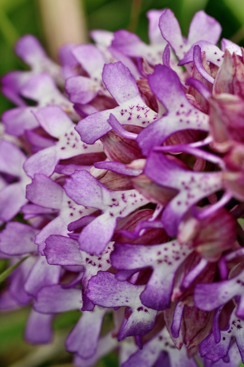 IMG-2016-05-21-00016031p_Bildgr��e �ndern