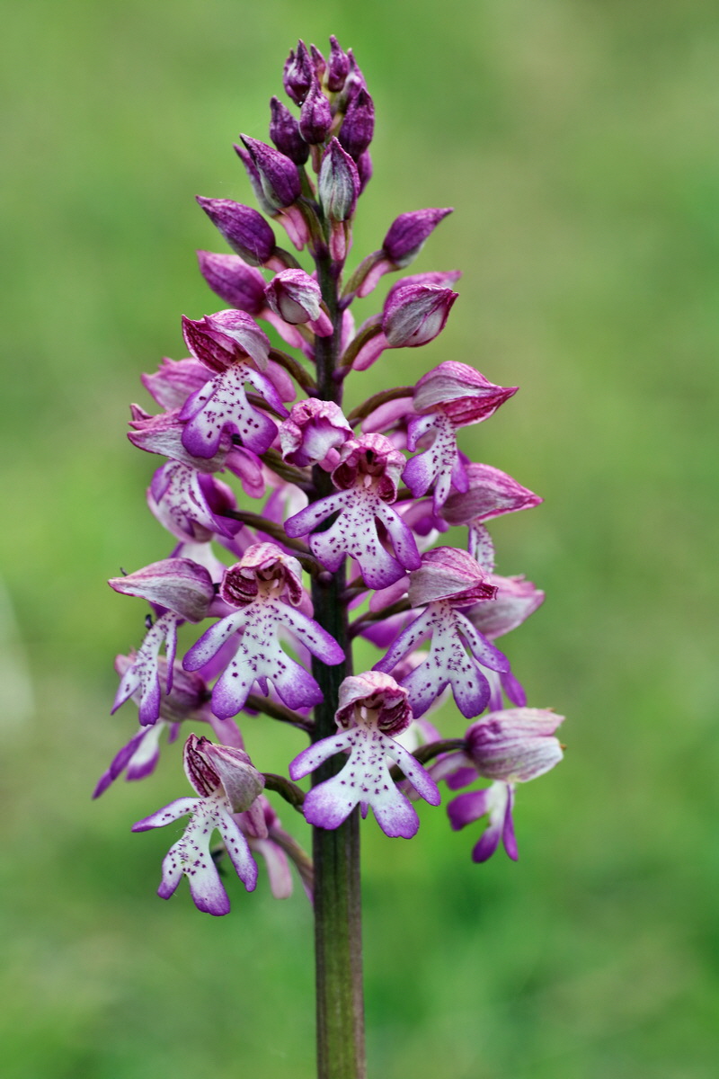 IMG-2016-05-21-00016034p_Bildgr��e �ndern