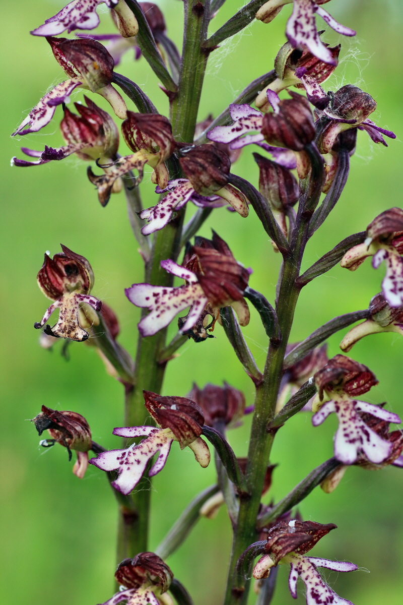 IMG-2016-05-21-00016037p_Bildgr��e �ndern