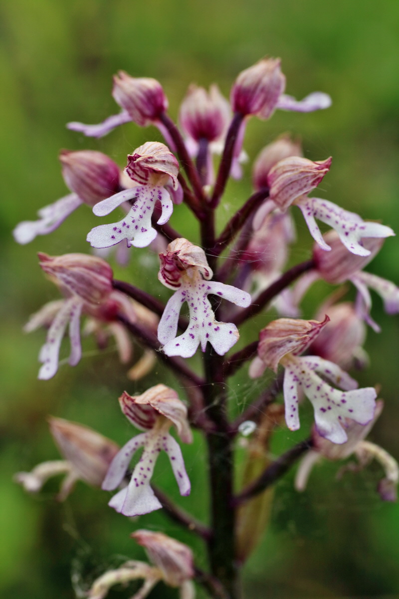 IMG-2016-05-21-00016044p_Bildgr��e �ndern