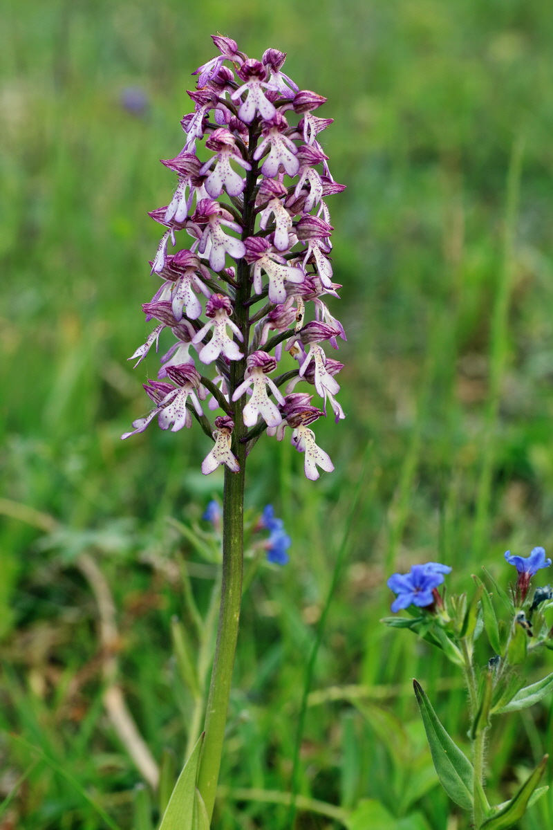 IMG-2016-05-21-00016048p_Bildgr��e �ndern