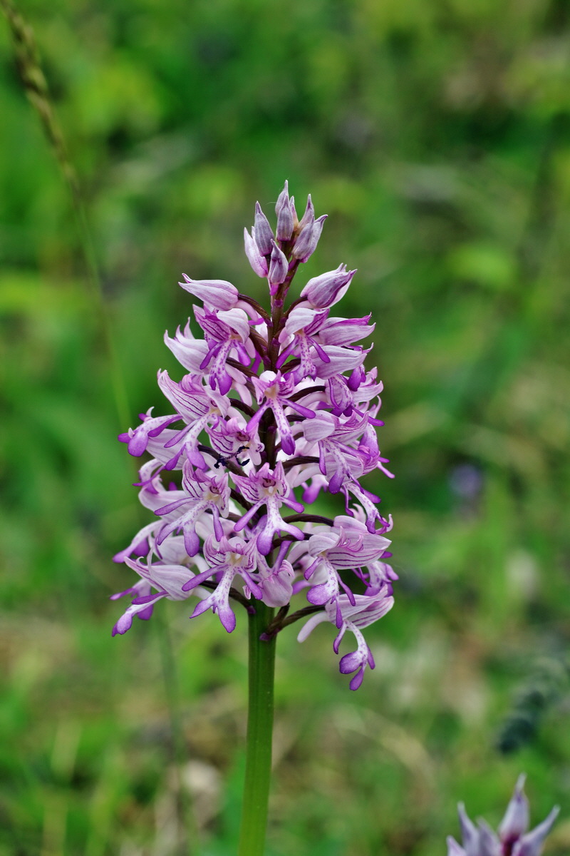 IMG-2016-05-21-00016053p_Bildgr��e �ndern