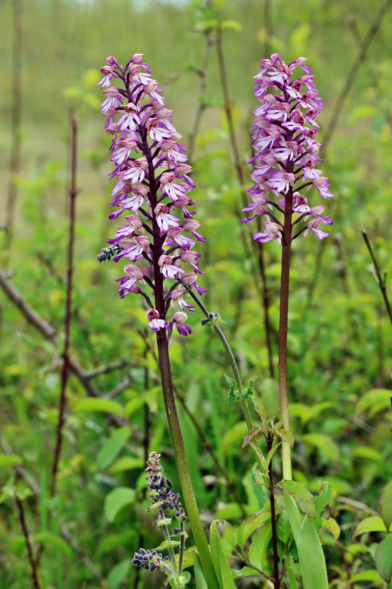 IMG-2016-05-21-00016069p_Bildgr��e �ndern