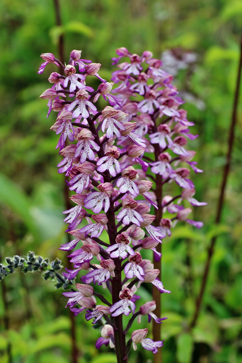 IMG-2016-05-21-00016071p_Bildgr��e �ndern