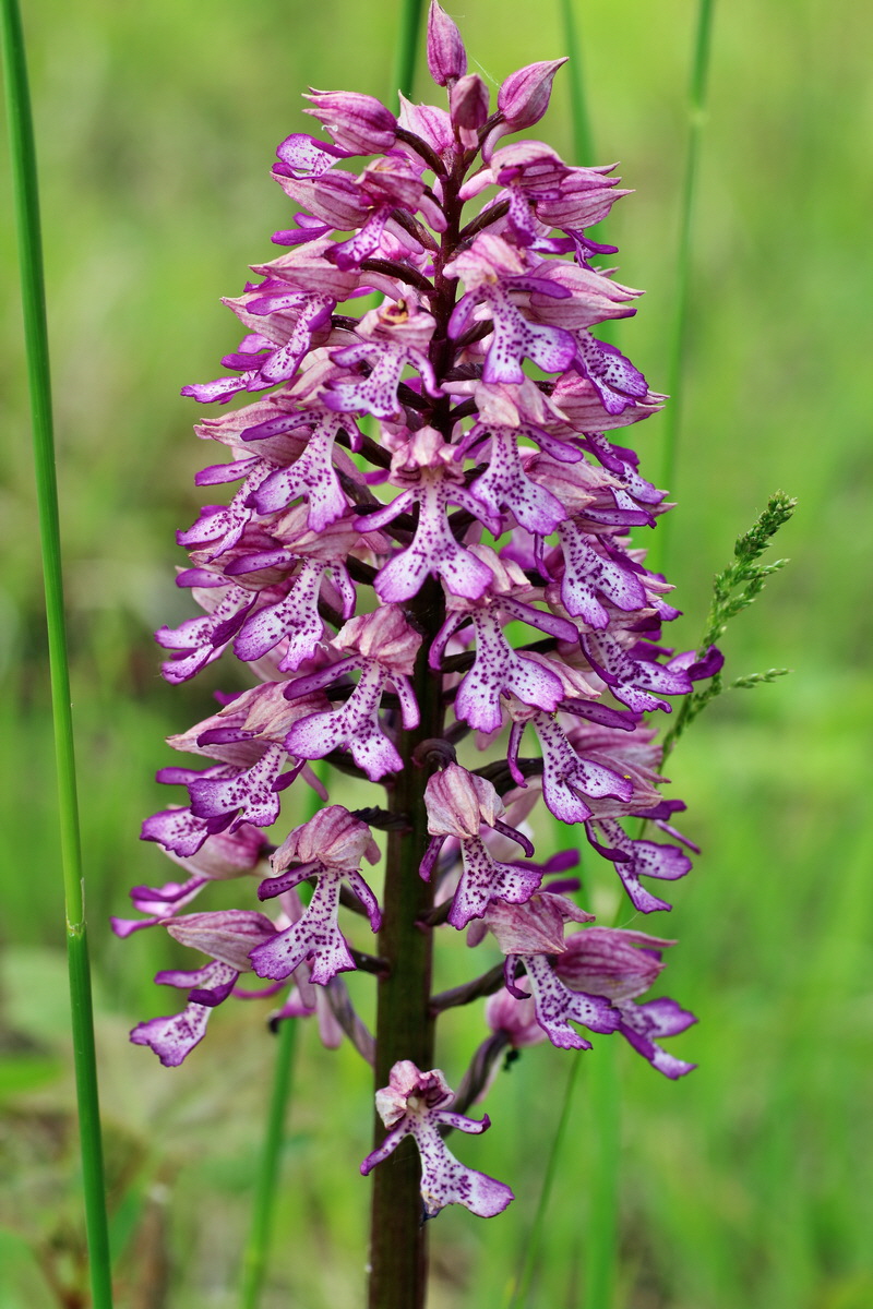 IMG-2016-05-21-00016080p_Bildgr��e �ndern