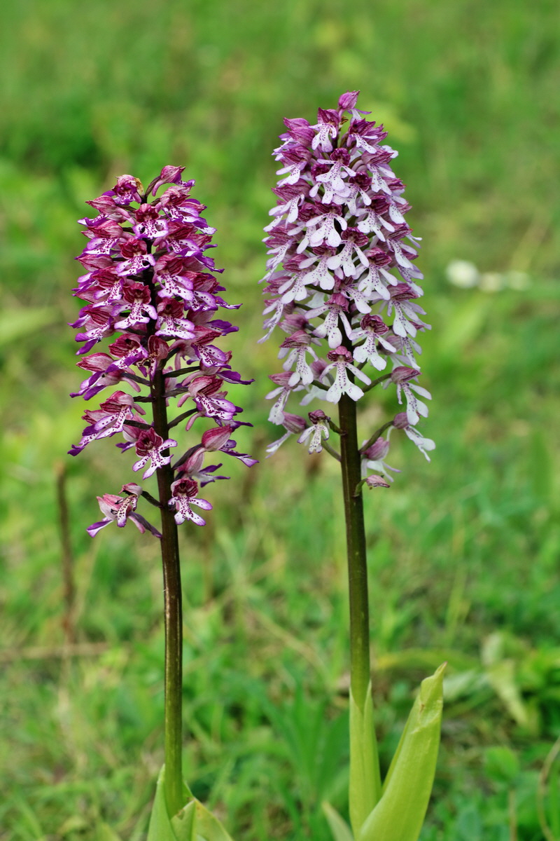 IMG-2016-05-21-00016086p_Bildgr��e �ndern