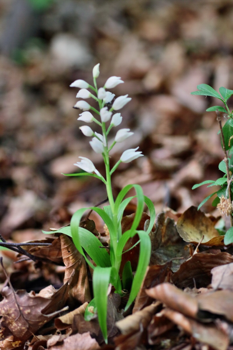 IMG-2016-05-21-00016107p_Bildgr��e �ndern