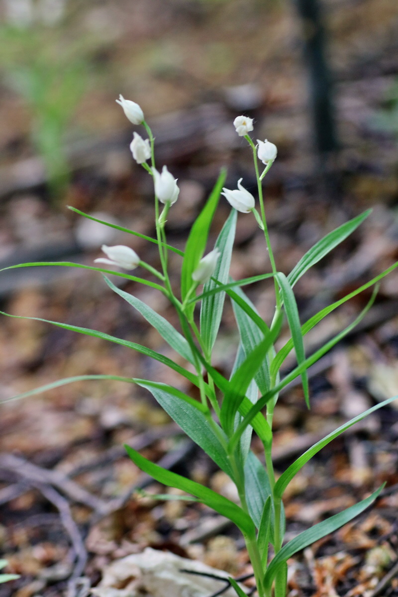 IMG-2016-05-21-00016117p_Bildgr��e �ndern