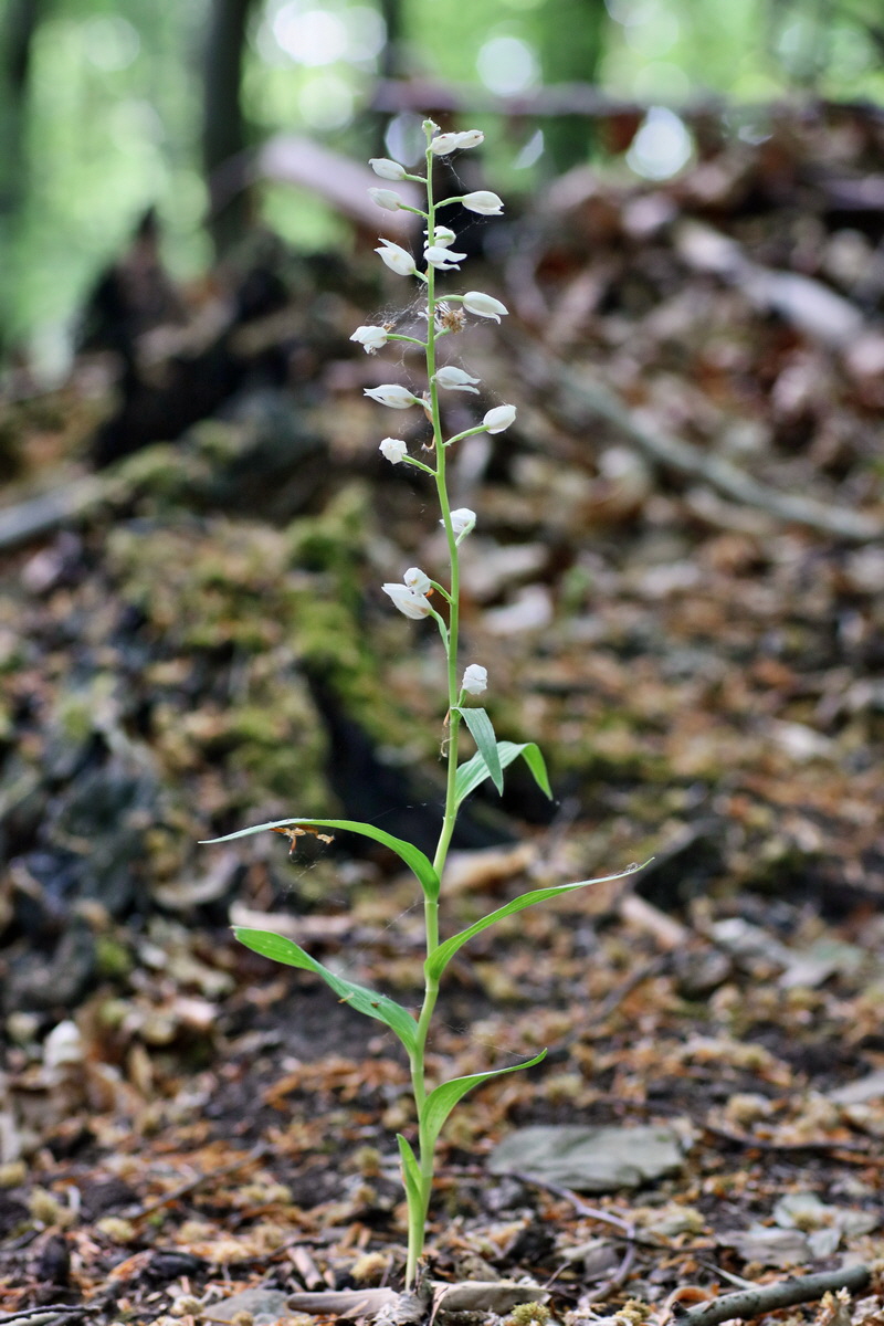 IMG-2016-05-21-00016125p_Bildgr��e �ndern