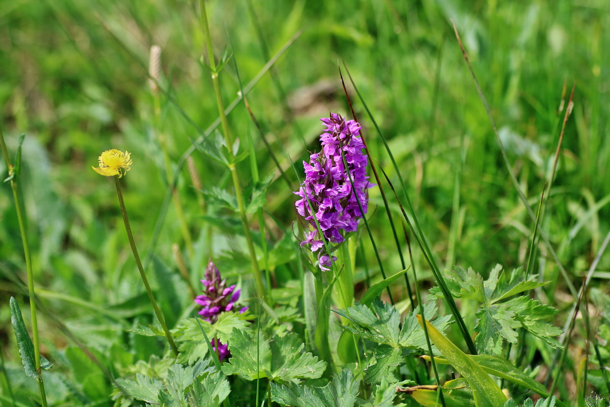 IMG-2016-05-23-00016135p_Bildgr��e �ndern