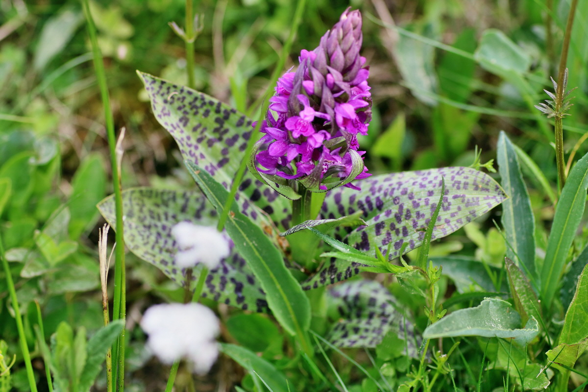 IMG-2016-05-23-00016137p_Bildgr��e �ndern