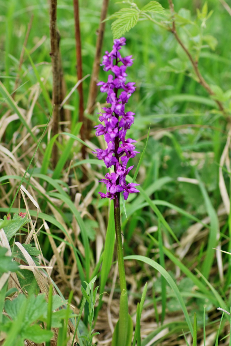 IMG-2016-05-23-00016147p_Bildgr��e �ndern