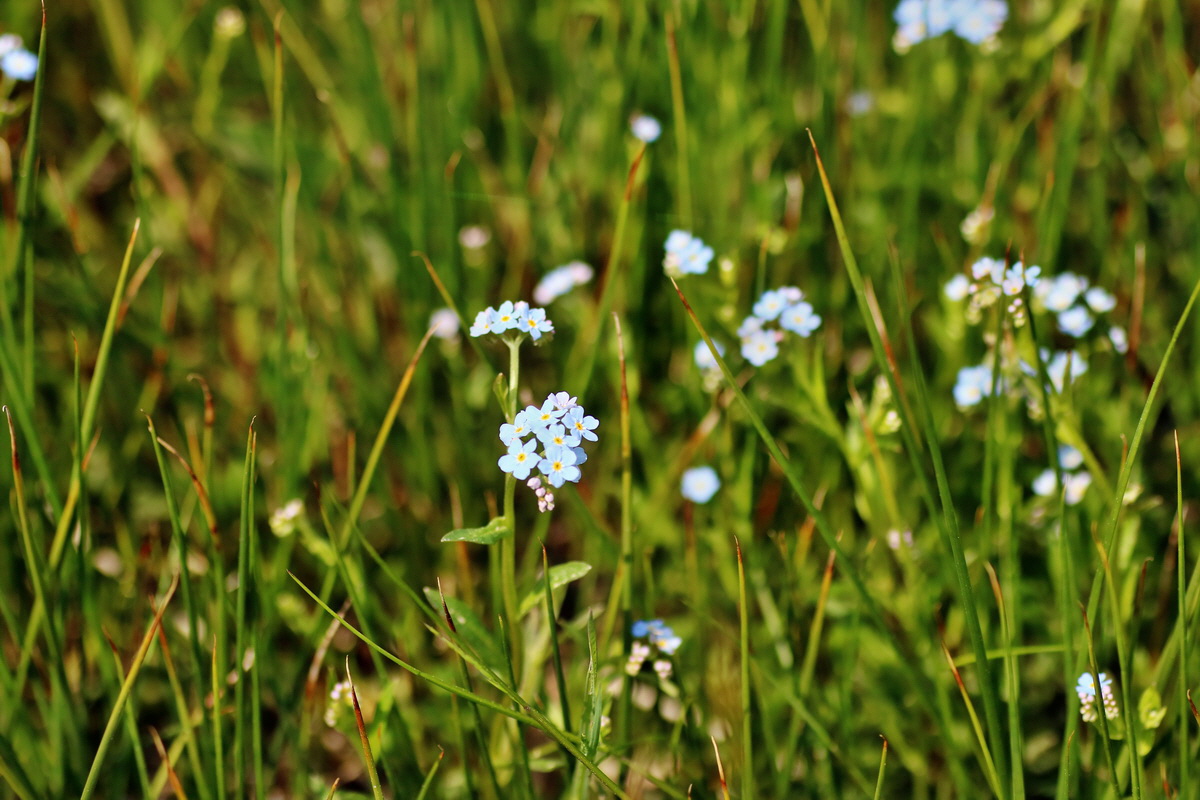 IMG-2016-05-23-00016153p_Bildgr��e �ndern