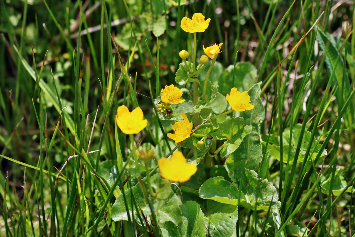 IMG-2016-05-23-00016157p_Bildgr��e �ndern