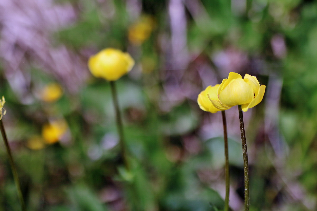 IMG-2016-05-23-00016162p_Bildgr��e �ndern