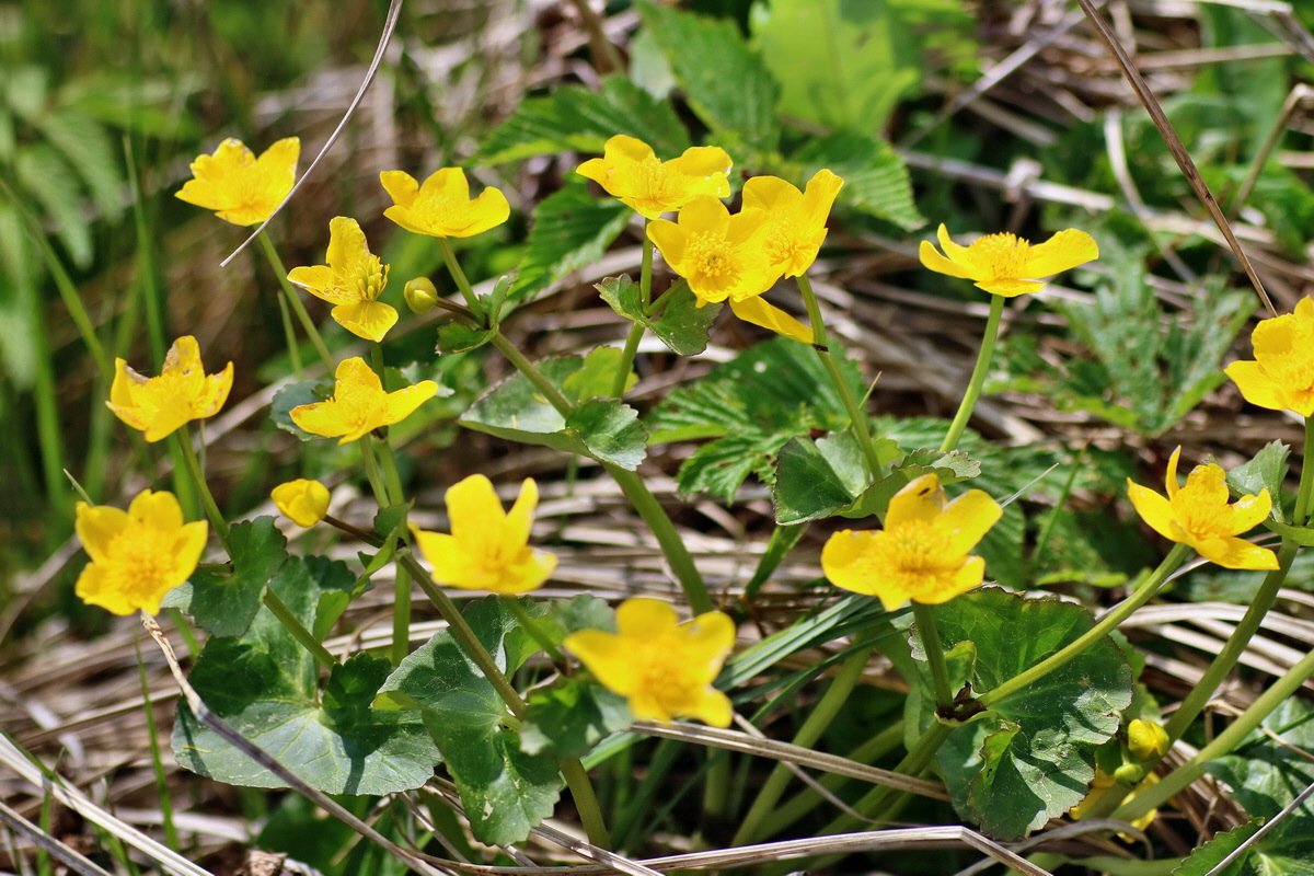 IMG-2016-05-23-00016163p_Bildgr��e �ndern