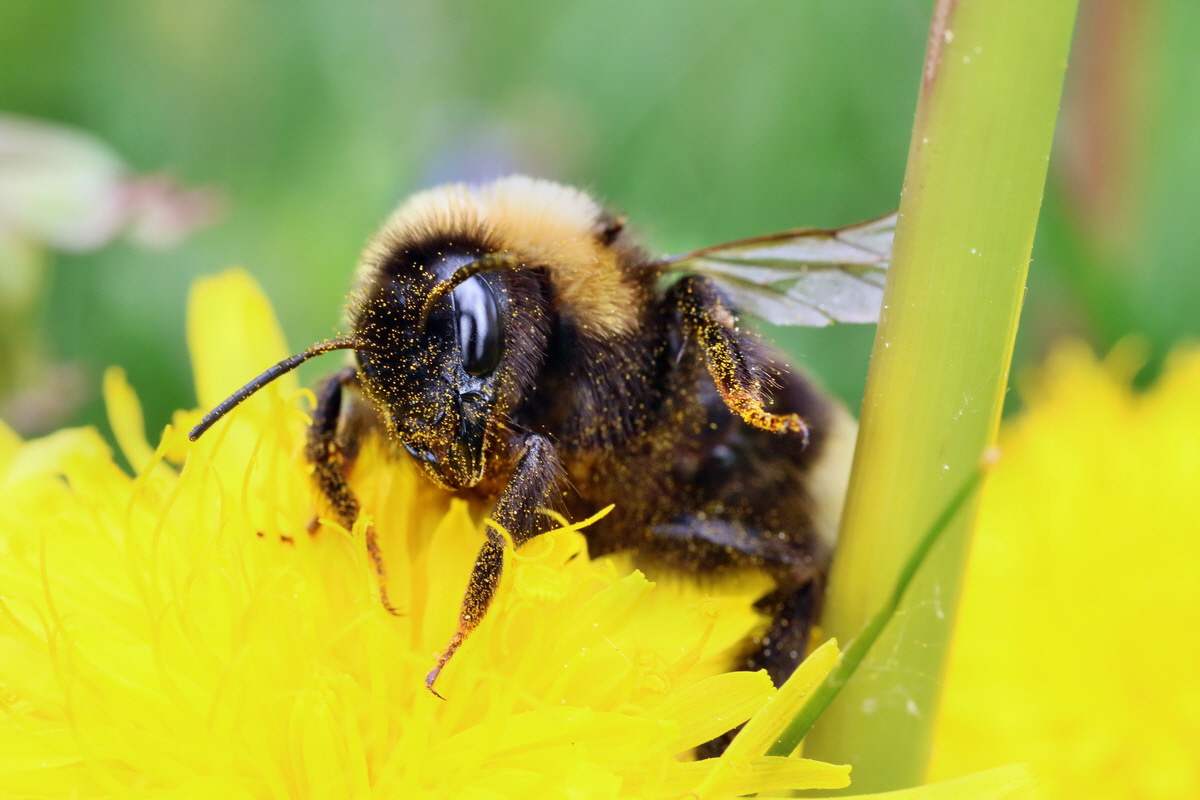 IMG-2016-05-23-00016176p_Bildgr��e �ndern