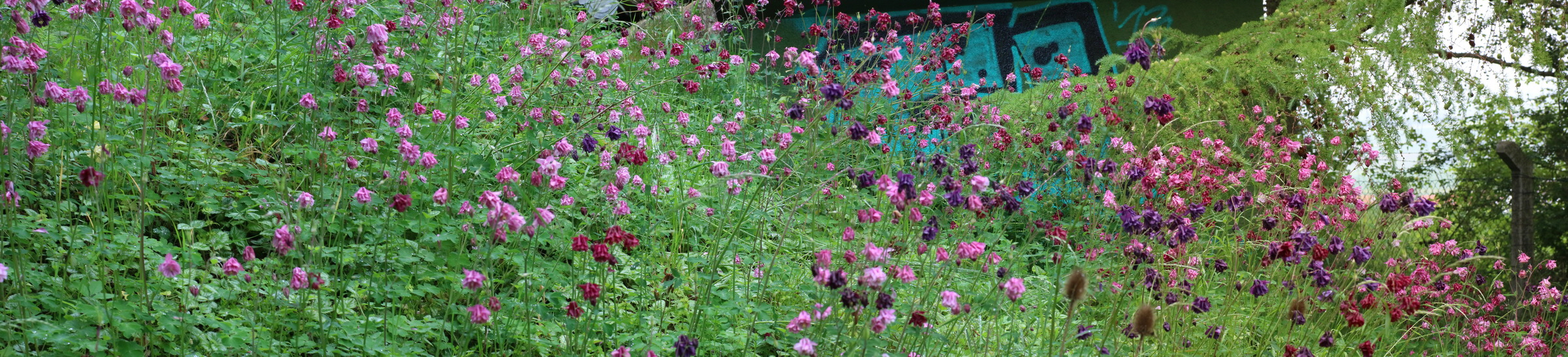 [Group 1]-IMG-2016-05-25-00016183_IMG-2016-05-25-00016186-4 images_Bildgr��e �ndern