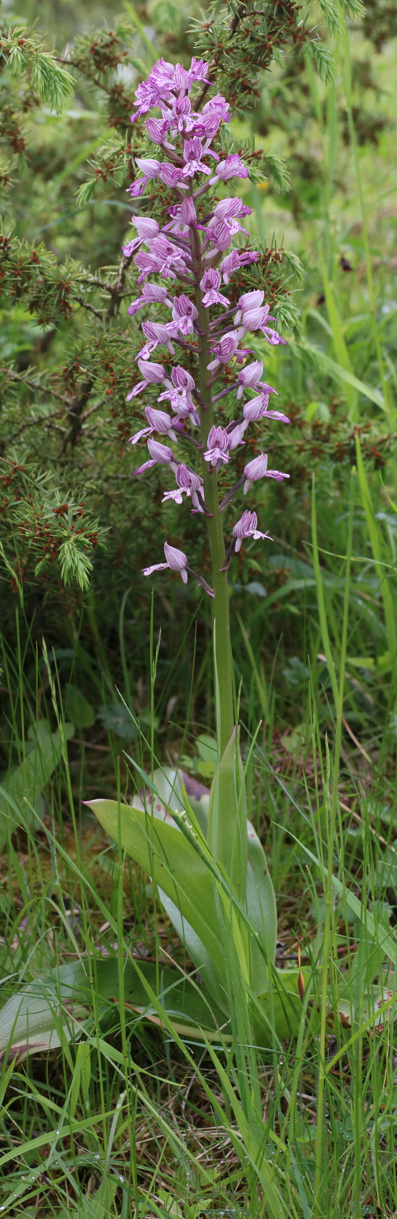 [Group 8]-IMG-2016-05-25-00016789_IMG-2016-05-25-00016792-4 images_Bildgr��e �ndern