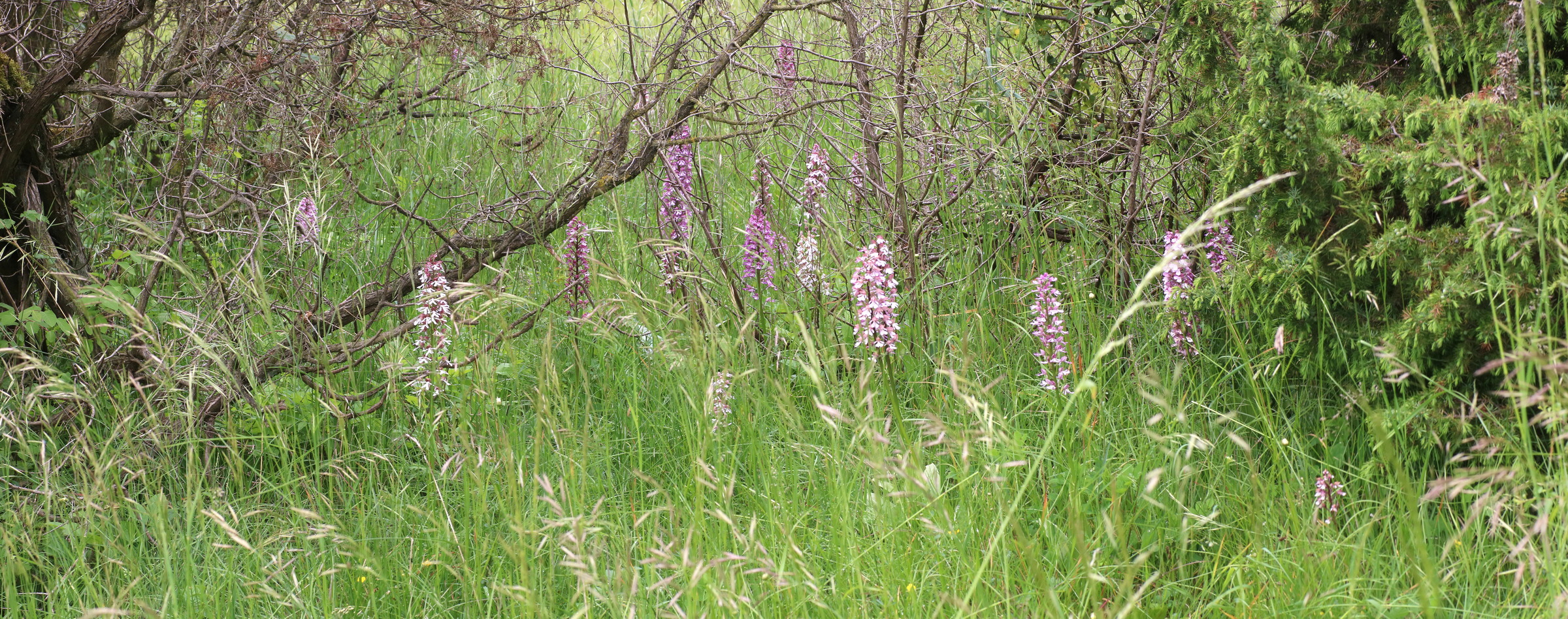 [Group 8]-IMG-2016-05-25-00016793_IMG-2016-05-25-00016795-3 images_Bildgr��e �ndern