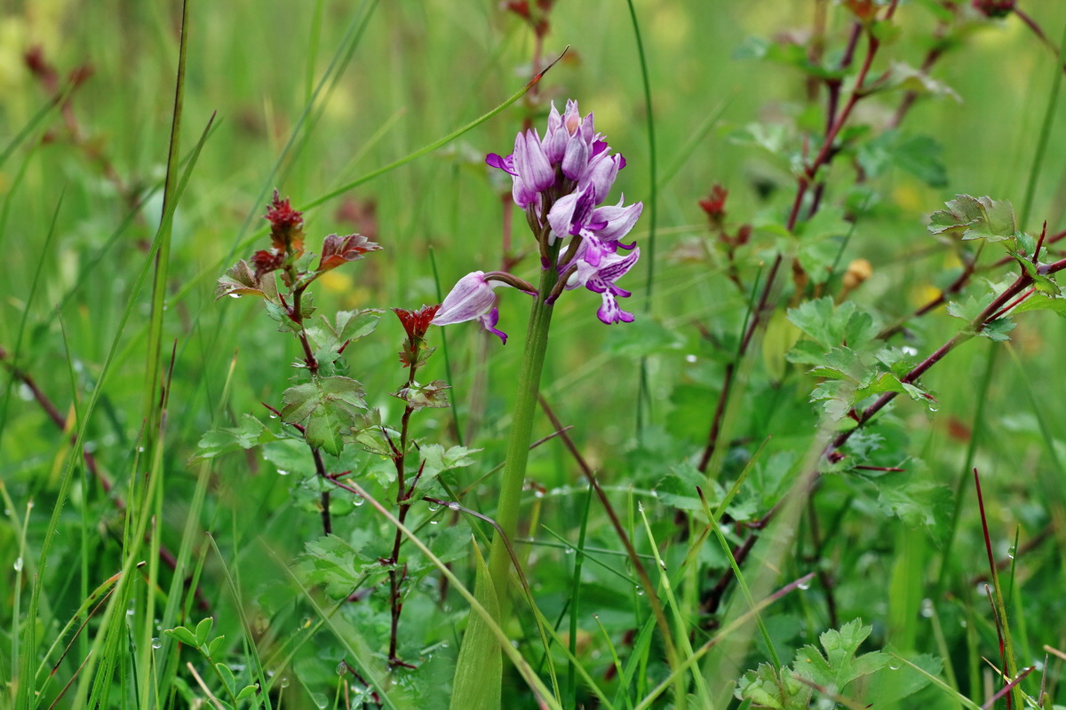 IMG-2016-05-25-00016190p_Bildgr��e �ndern