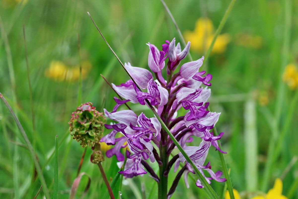 IMG-2016-05-25-00016193p_Bildgr��e �ndern