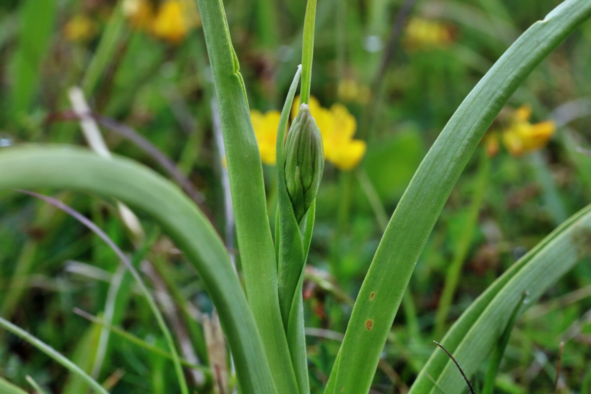 IMG-2016-05-25-00016196p_Bildgr��e �ndern