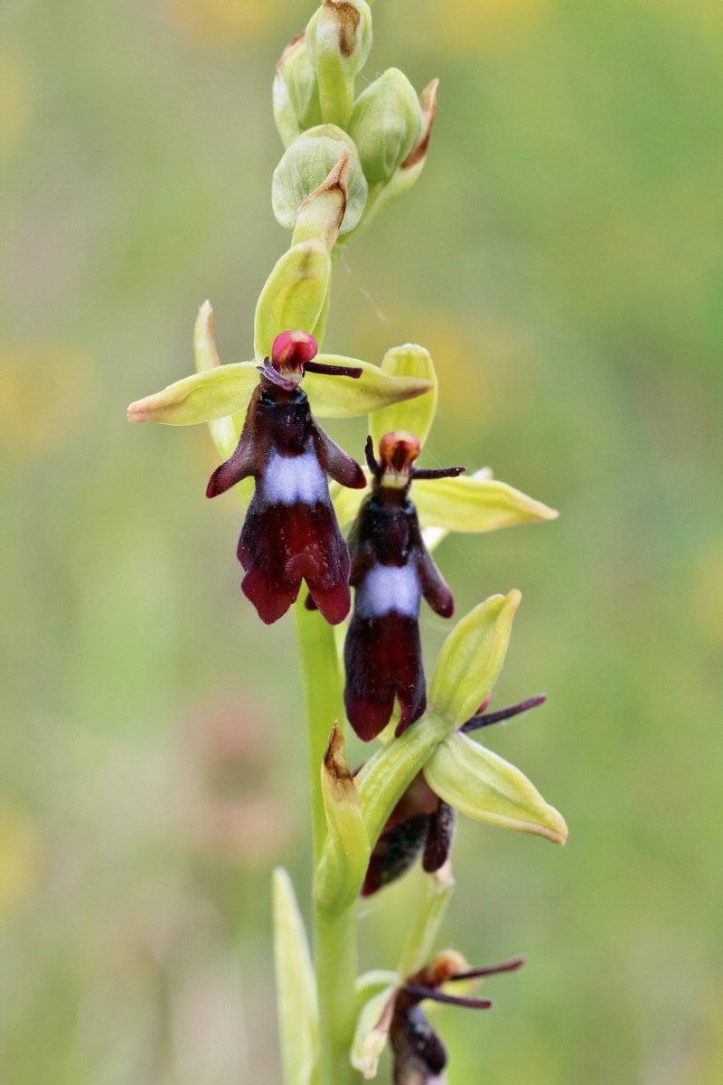 IMG-2016-05-25-00016198p_Bildgr��e �ndern