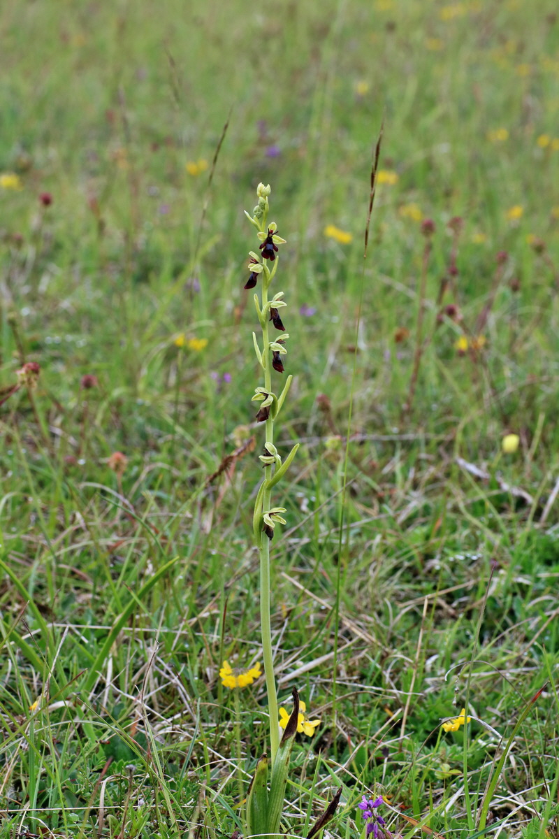 IMG-2016-05-25-00016222p_Bildgr��e �ndern