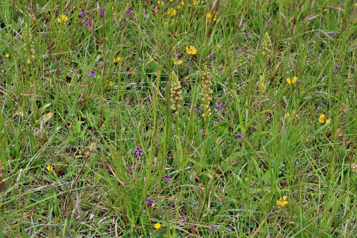 IMG-2016-05-25-00016224p_Bildgr��e �ndern