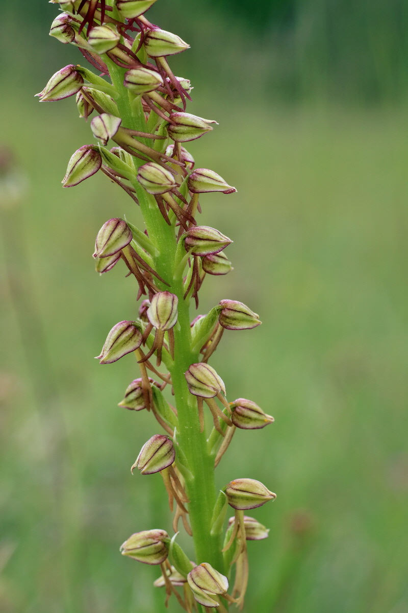 IMG-2016-05-25-00016228p_Bildgr��e �ndern