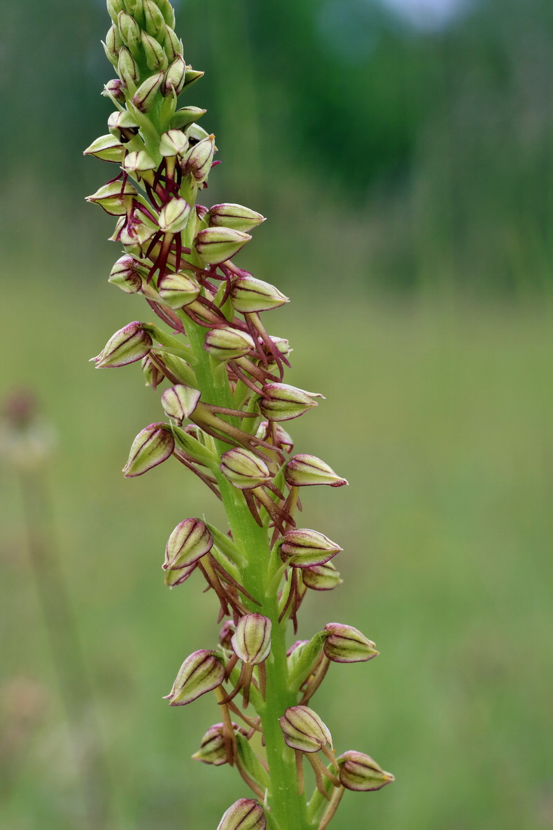 IMG-2016-05-25-00016230p_Bildgr��e �ndern