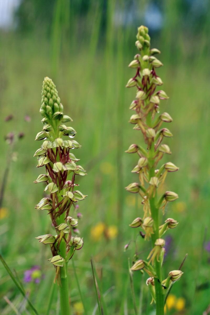 IMG-2016-05-25-00016241p_Bildgr��e �ndern