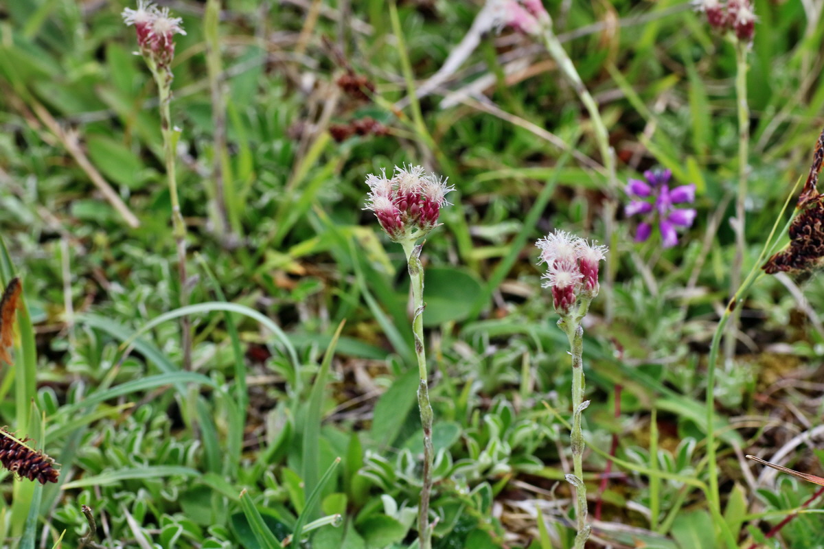 IMG-2016-05-25-00016246p_Bildgr��e �ndern