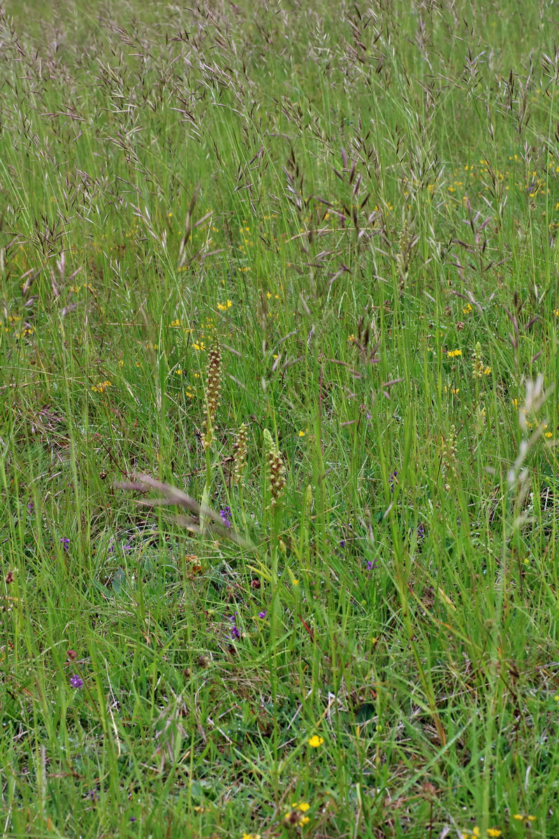 IMG-2016-05-25-00016251p_Bildgr��e �ndern