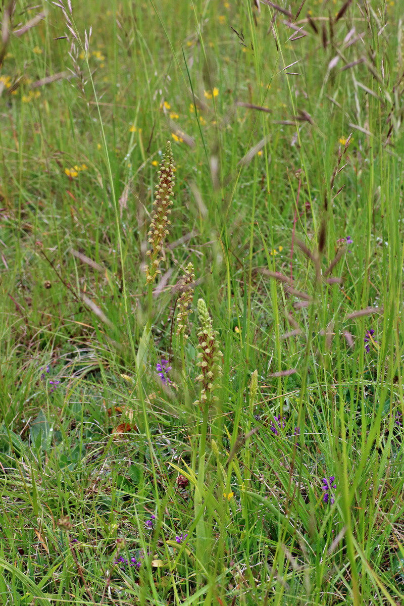 IMG-2016-05-25-00016255p_Bildgr��e �ndern