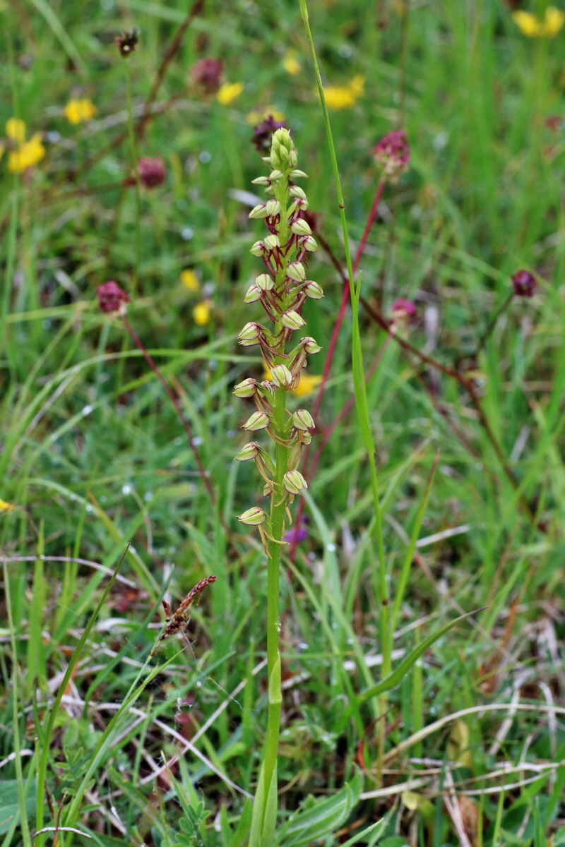 IMG-2016-05-25-00016259p_Bildgr��e �ndern