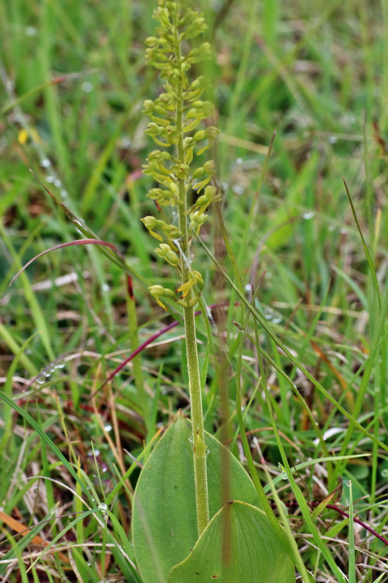 IMG-2016-05-25-00016272p_Bildgr��e �ndern