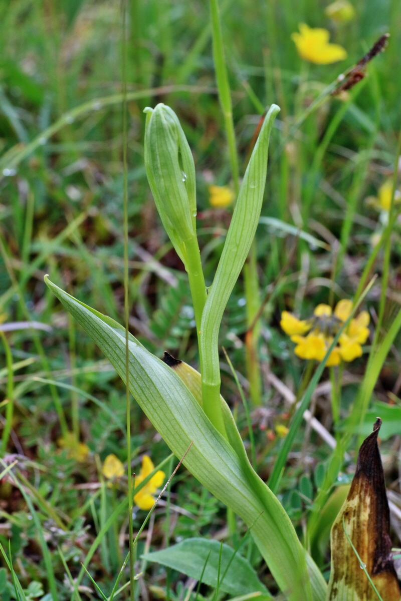 IMG-2016-05-25-00016275p_Bildgr��e �ndern