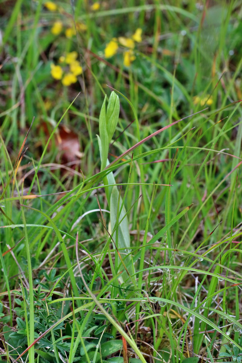 IMG-2016-05-25-00016279p_Bildgr��e �ndern