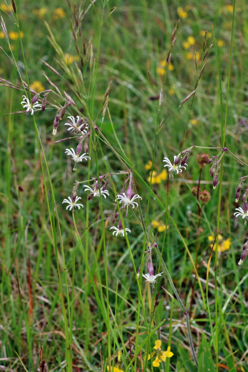 IMG-2016-05-25-00016286p_Bildgr��e �ndern