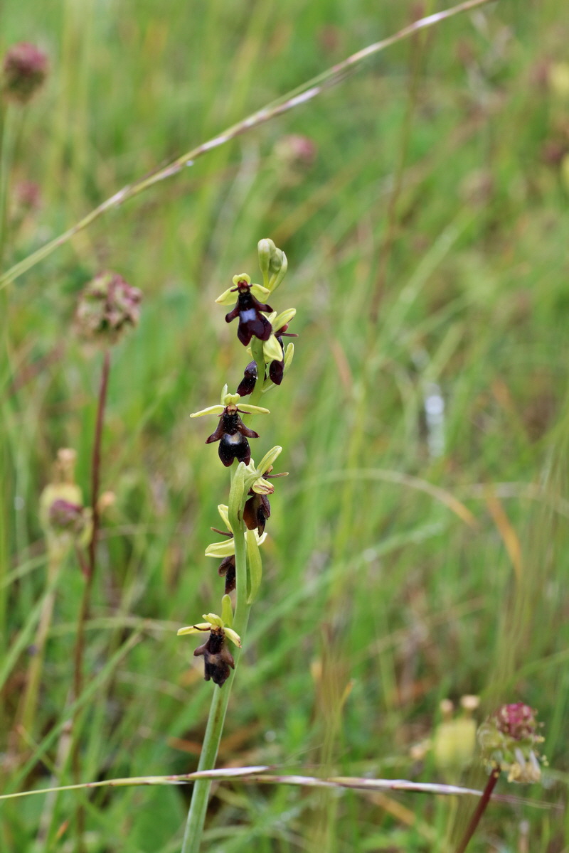 IMG-2016-05-25-00016290p_Bildgr��e �ndern